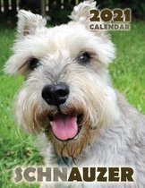 Schnauzer 2021 Calendar