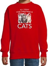 Kitten Kerstsweater / Kerst trui All I want for Christmas is cats rood voor kinderen - Kerstkleding / Christmas outfit 9-11 jaar (134/146) - Kersttrui