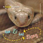 De Kringloop van het Leven  -   Van ei tot slang