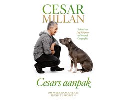 Cesars aanpak