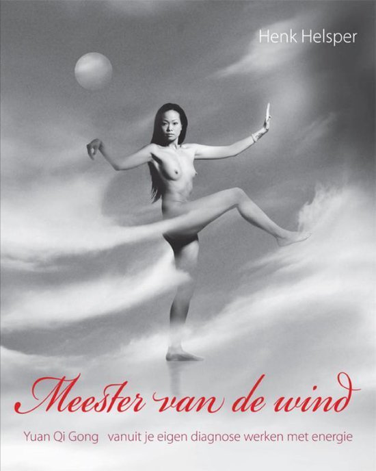 Meester van de wind - cover