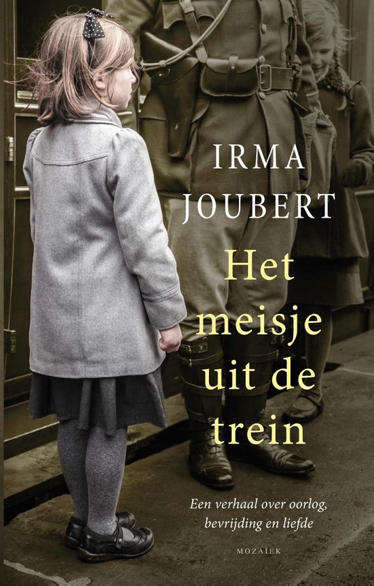 Het meisje uit de trein - cover