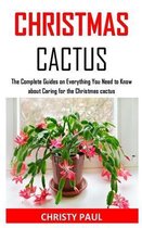 Christmas Cactus