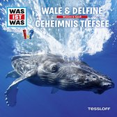 WAS IST WAS Hörspiel. Wale & Delfine / Geheimnis Tiefsee.