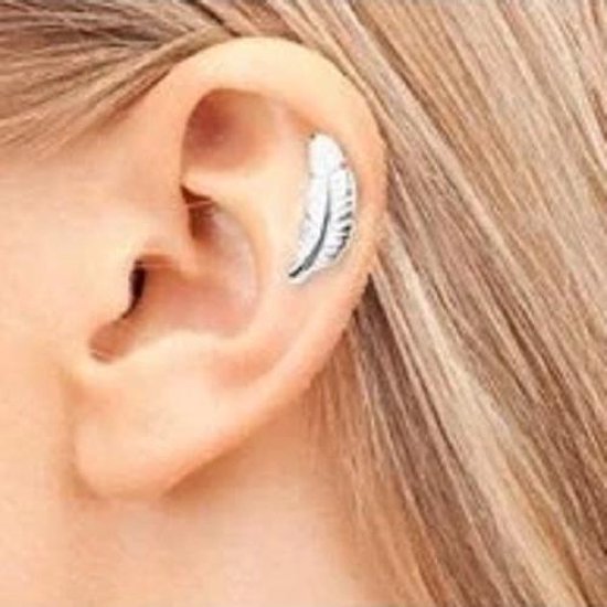 Helix Piercing - Plume - Piercing pour oreille - Acier chirurgical - 2  pièces | bol.com