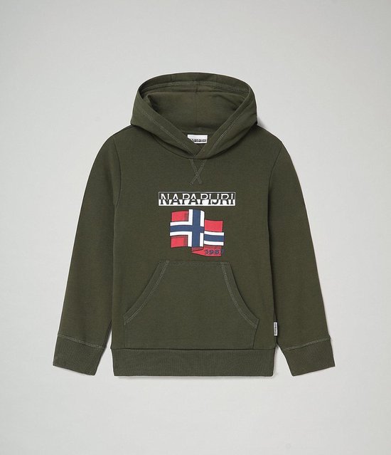 napapijri hoodie kids