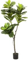 Kunstplant Ficus Lyrata 150 cm