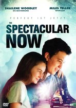 The Spectacular Now (import)