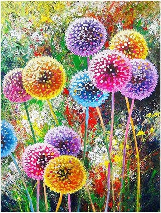 Bol Com Diamond Painting 40x50 Cm Inclusief Tools Dandelion Hobby Vrije Tijd Cadeau