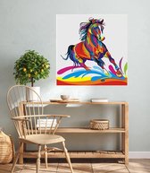 JDBOS ® Schilderen op nummer Volwassenen met frame (hout) - Gekleurd paard - Colorful horse - Verven volwassenen - 40x50 cm