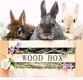 3D wenskaart rabbit wood box
