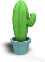 3D Papercraft-Kit Cactus - licht groen / licht blauw | doe het zelf pakket