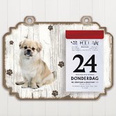 Scheurkalender 2023 Hond: Tibetaanse Spaniel