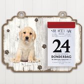 Scheurkalender 2023 Hond: Labrador Pup