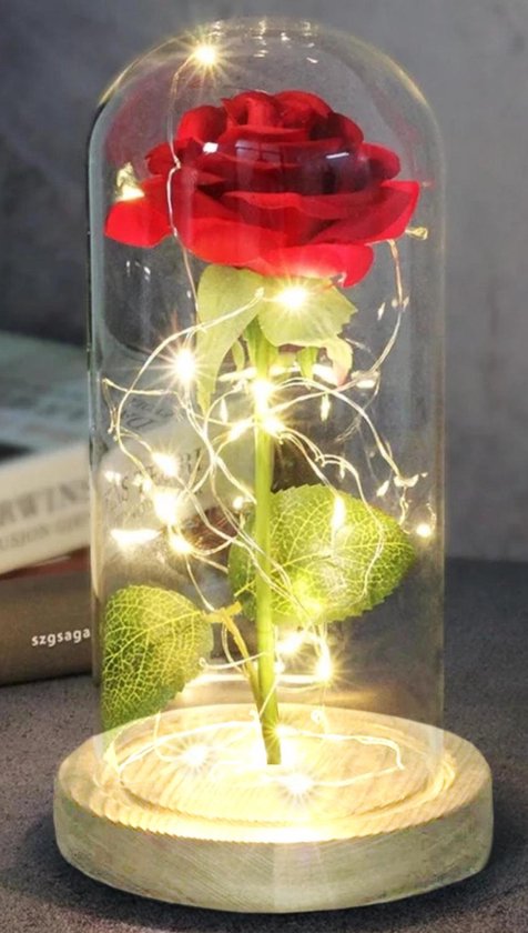 Beauty and the Beast Zijde Roos in Glas Stolp Rose Kunstroos Valentijn |  Cadeau voor... | bol.com