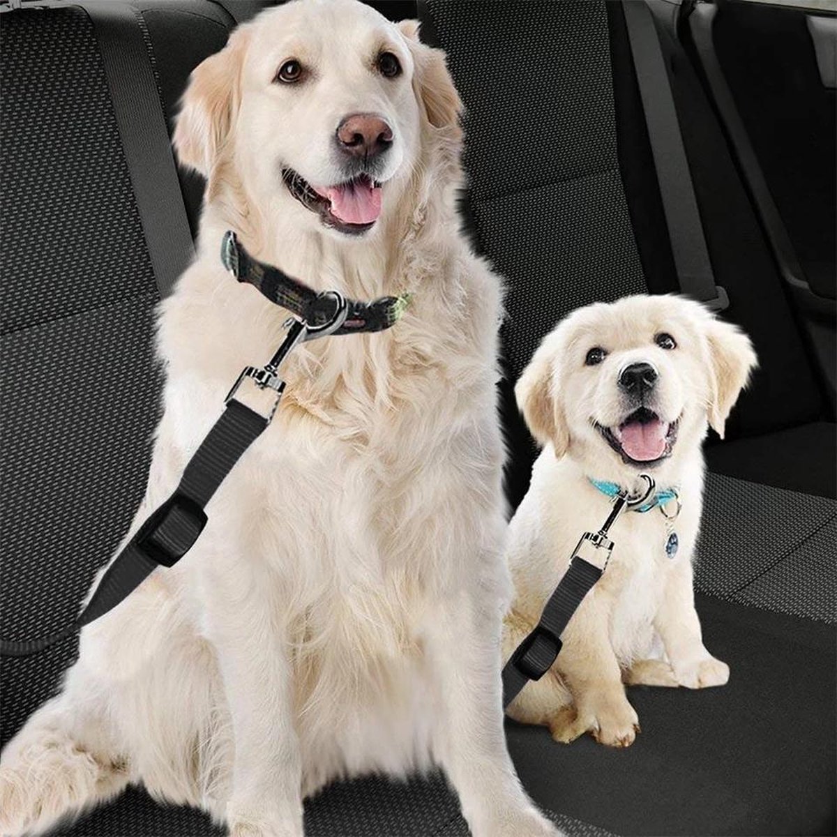 Veiligheidsgordel voor honden en katten- pet dog seat belt puppy ...