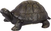 Beeld - Gedetailleerd schildpad - Gietijzer - 12 cm hoog
