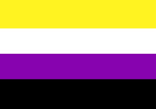 Koop hier uw Genderqueer pride vlag bij