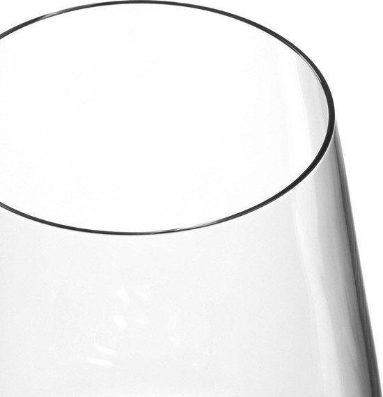 Rieslingglas Puccini set van 6 kopen