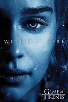 GAME OF THRONES - Poster 61X91 - Winter is Here - Daenerys