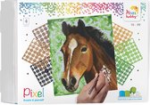 Pixelhobby geschenkdoos 4 basisplaten - Paard