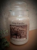 Cosy Candles Forgotten Memories