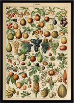 Poster In Zwarte Lijst - Vintage Fruit - Groenten en Planten Schoolplaat - Millot - Large 70x50