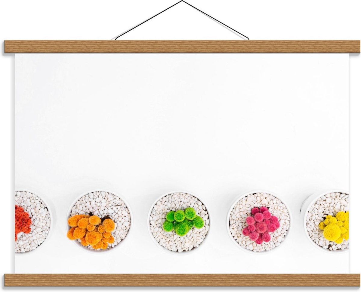 Schoolplaat – Gekleurde Cactuspotjes - 60x40cm Foto op Textielposter (Wanddecoratie op Sch