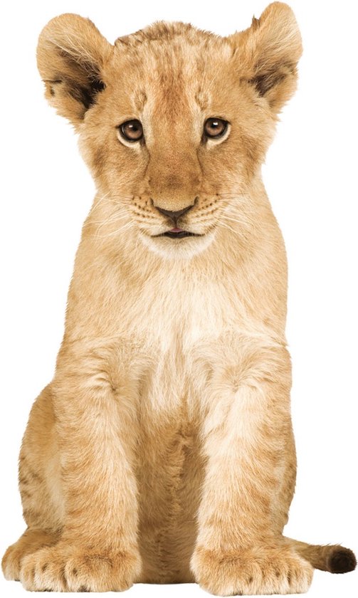 KEK Amsterdam Safari Friends: Lion Cub - Muursticker - Multicolor