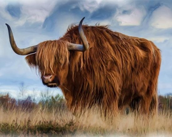 painting volwassenen - Buffalo koe 50x40cm Ronde steentjes - pakket | bol.com