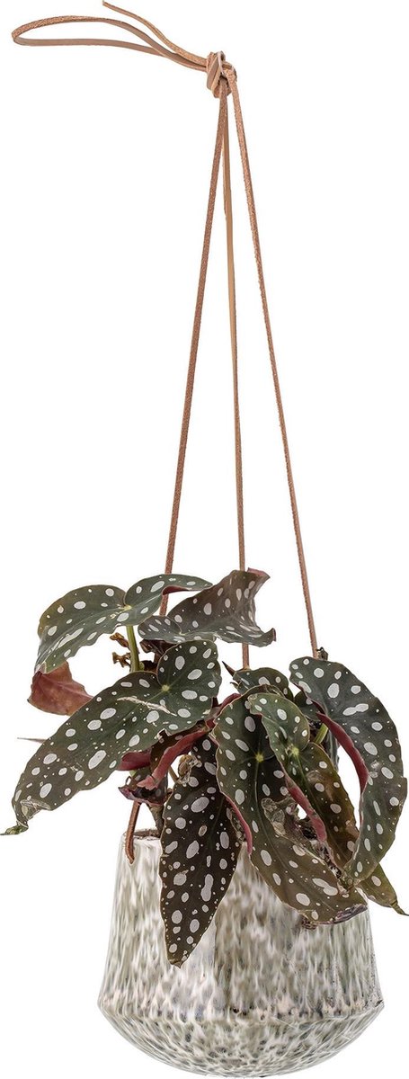 Bloomingville hangende bloempot Groen Steen ø14 12cm
