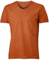 Fusible Systems - Heren James and Nicholson Gipsy T-Shirt (Bruin)
