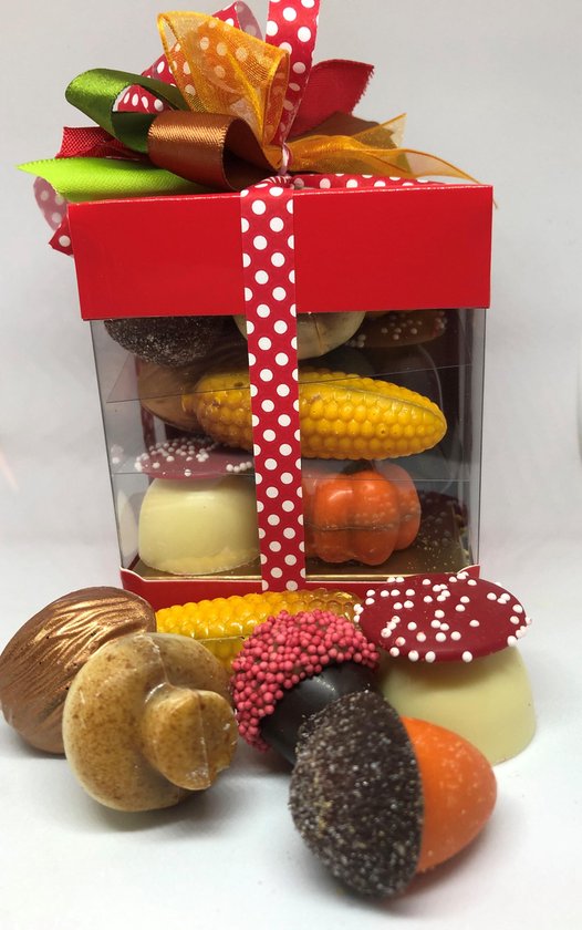 Etna Kwaadaardig levering Herfst bonbons | bol.com