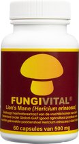 Neuro Support | Biologisch Supplement voor Brein en Geheugen | Lion's Mane | Stress verlagend, Concentratie verhogend | 60 capsules | FungiVital
