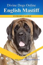 English Mastiff
