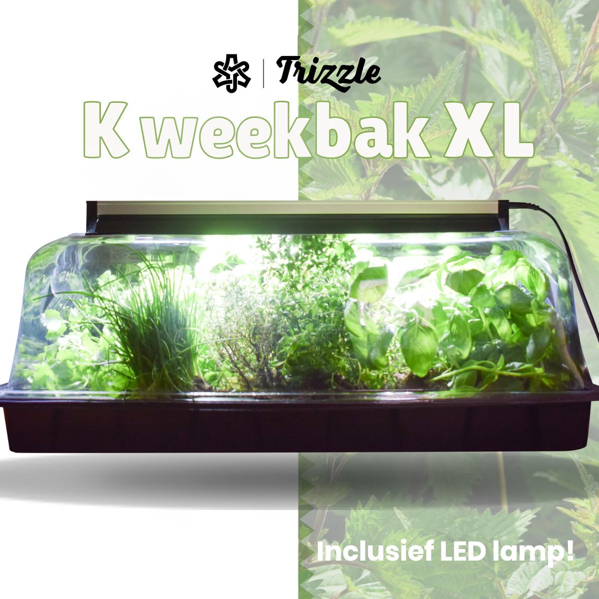 XL Kweekbak met Deksel en LED Groeilamp – Kweekkas met Kweeklamp | bol.com