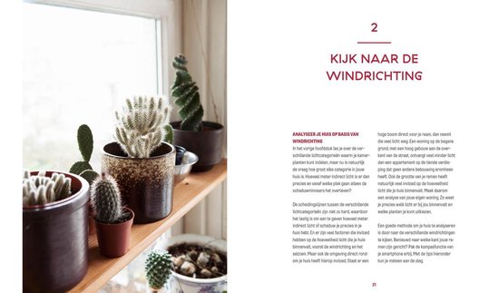 Een huis vol planten - Kennis en inspiratie voor je eigen urban jungle door Mama Botanica - Kamerplanten boek - Iris van Vliet