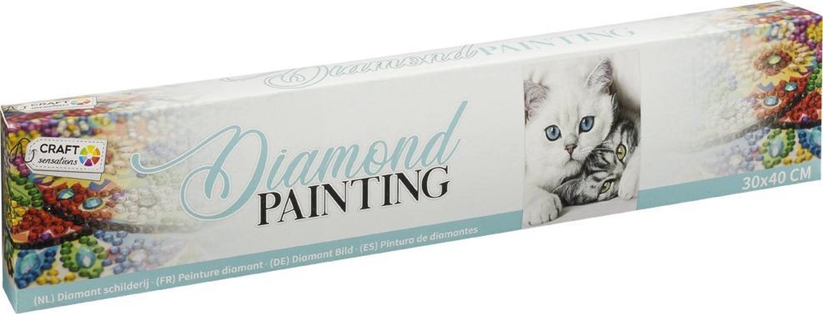 Diamond painting | Thema Katten | Afmeting schilderij: 30 x 40 cm | Inclusief Diamond painting pen | Diamond painting volwassenen