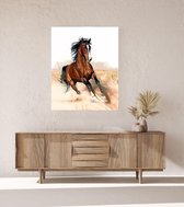 JDBOS ® Schilderen op nummer Volwassenen met frame (hout) - Paard in galop - Verven volwassenen - 40x50 cm