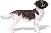 Drentsche Patrijshond (Dog) hondenbeeldje , figuur