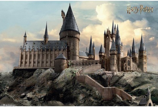 wortel tong wang Harry Potter Officiële Zweinstein Affiche (Veelkleurig) | bol.com