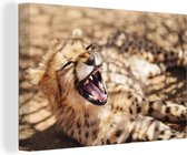 Canvas Schilderij Cheetah - Dier - Close up - 90x60 cm - Wanddecoratie