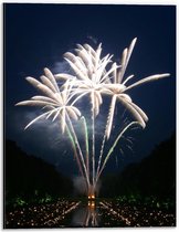 Dibond - Wit Vuurwerk  - 30x40cm Foto op Aluminium (Wanddecoratie van metaal)