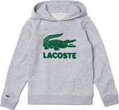 Lacoste Trui - Jongens - grijs,groen