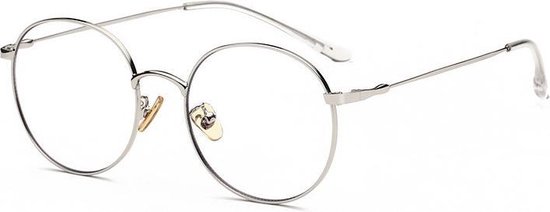 Computerbril - Anti Blauwlicht Bril - Rond Metaal - Zilver
