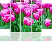 Schilderij , Roze Tulpen , 4 maten , 5 luik , Roze groen , Premium print , XXL