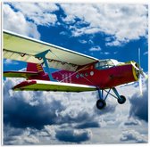 Forex - Zweefvliegtuig in de Wolken - 50x50cm Foto op Forex