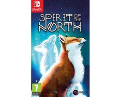 Spirit of the store north switch