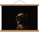 Schoolplaat – Gefotografeerde Hond met Zwarte Achtergrond - 60x40cm Foto op Textielposter (Wanddecoratie op Schoolplaat)