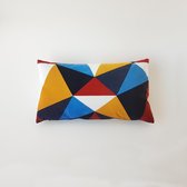 Swan Spring Raw Earth Abstract | Sierkussenhoes | Blauw | Rood | Geel | Wit | 30 x 50cm